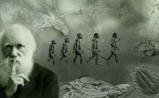 INFLUYE DARWIN