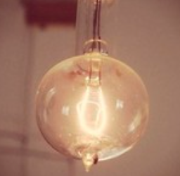 The light bulb