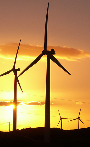 Wind-farm veto given to land-owners