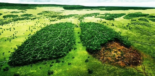 Movimiento Ecologista Mexicano, A.C.