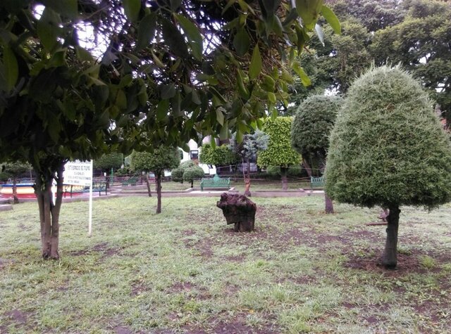 Asociación Ecologica de Coyoacán, A.C.