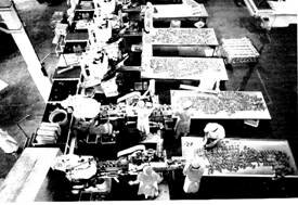 Evolución de los Procesos Productivos