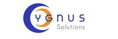 Cygnus Solutions