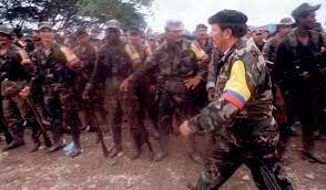 MUERTE DE MONO JOJOY