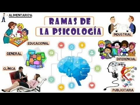 Ramas de la psicologia.
