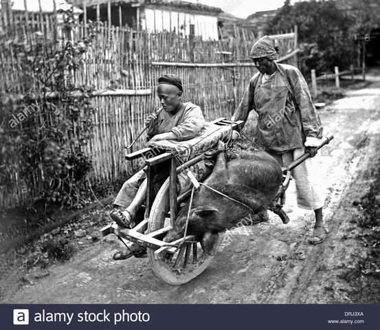 Las carretillas de mano