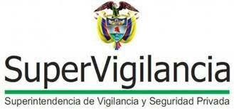 SUPERVIGILANCIA SEGURIDAD PRIVADA