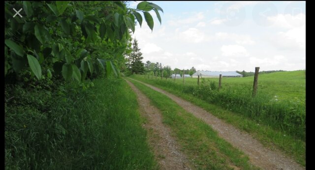 Conflits et impasse politique #3: Le contrôle de la liste civile