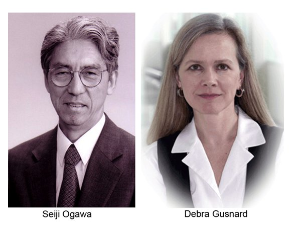 Resonancia Funcional Magnética