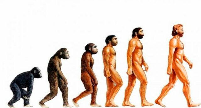 EVOLUCIONISMO UNILINEAL