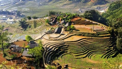 Vietnam case