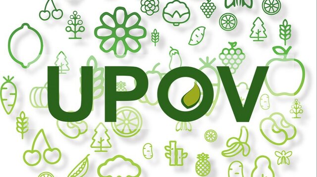 Unión Internacional para la Protección de las Obtenciones Vegetales (UPOV)