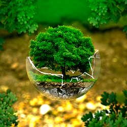 Cuestiones Sobre el Medio Ambiente