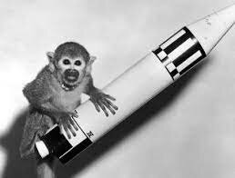 Space Monkey