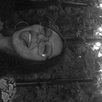 Timeline: DANNA SIGALA 250