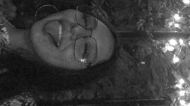 Timeline: DANNA SIGALA 250