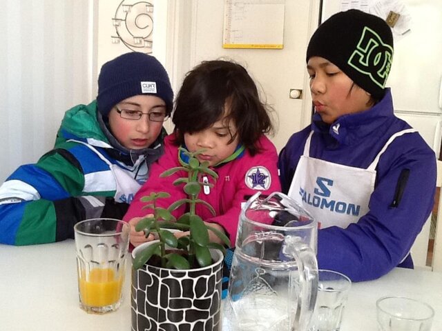 Åkte första Kopparaiden