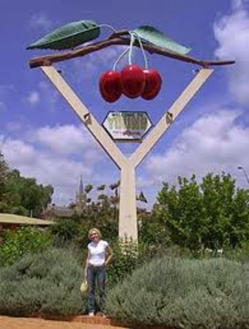 Adopted to Australia Lived in Young NSW on a farm.