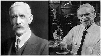 Funk Identifica las Vitaminas