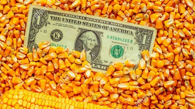 Decreto sobre la liberación del comercio