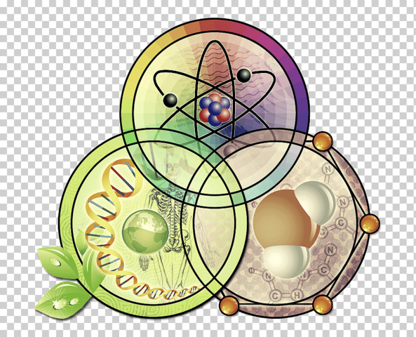 Avance de las primeras teorías sobre la Economía