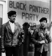 Creation of the Black Panthers