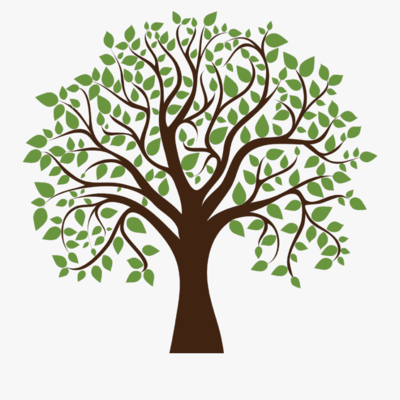 Timeline: Назва