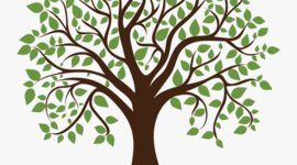 Timeline: Назва