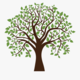 134 1344244 logo transparent tree logo png