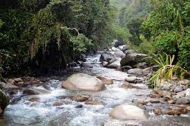 We went for a walk to a river with my family