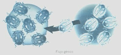 Fuentes de variabilidad y factores causantes de cambio en las poblaciones