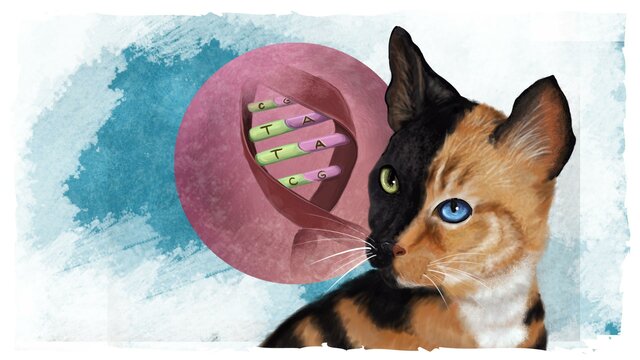 Mutaciones como fuente de variabilidad genética