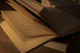 Estructuralismo Lingüístico