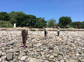 Bibi Calderaro. "Pensentimiento"