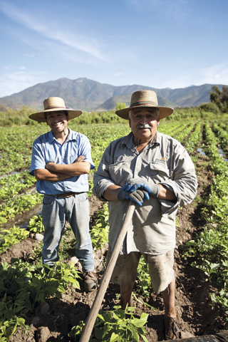 Se levantó el IV censo nacional agropecuario.