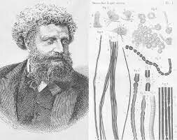 Louis-Antoine Ranvier