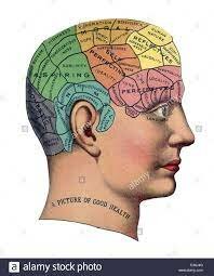 Joseph Gall  (FRENOLOGÍA)