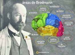 Korbinian Brodmann