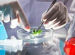 INGENIERIA CONTEMPORANEA