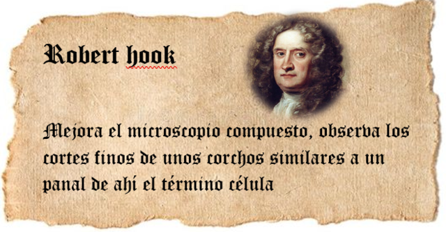 ROBERT HOOKE