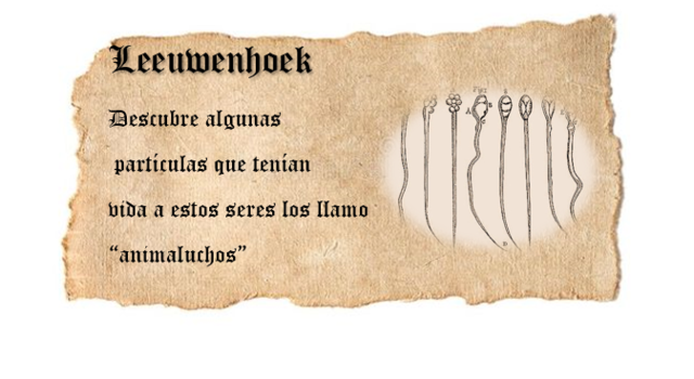 LEEUWENHOEK