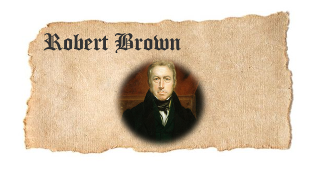 ROBERT BROWN