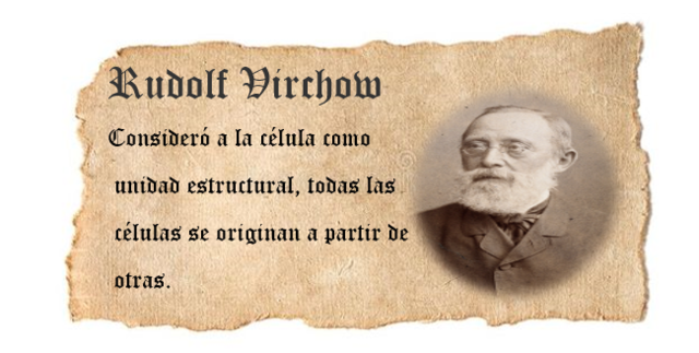 RUDOLF VIRCHOW