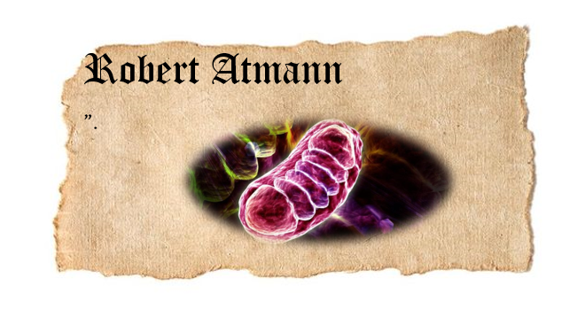 ROBERT ATMANN