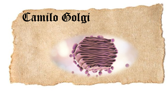 CAMILO GOLGI