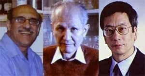 Osamu Shimomura, Martin Chalfie y Roger Y. Tsien
