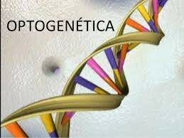 La Optogenética