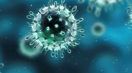 Timeline: ΠΑΝΔΗΜΙΕΣ 19ος ΑΙΩΝΑΣ