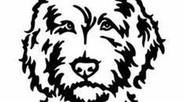 Timeline: Progressive time line