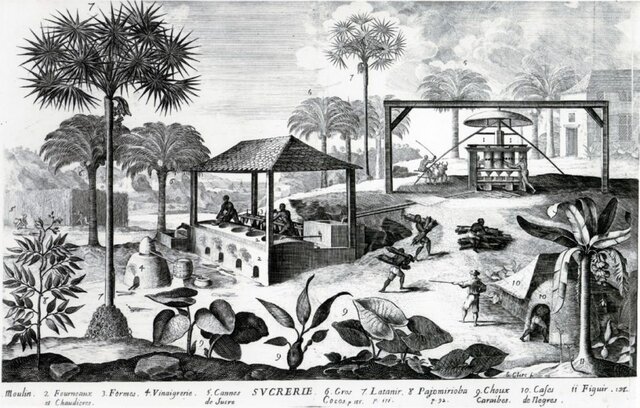 Les annees 1750 — Plus de 6000 deces